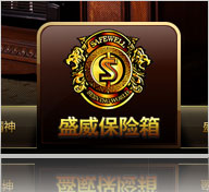 盛威保險箱集團 制作30天